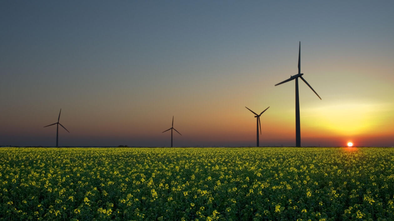 Europa inwestuje w zieloną energię, a my? "Na szarym końcu, 20 lat zapóźnienia"